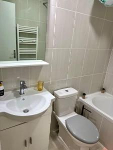 een badkamer met een toilet en een wastafel bij Cosy Appartement Noisy-le-Sec in Noisy-le-Sec