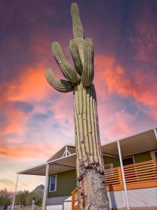 een cactus standbeeld voor een gebouw met een zonsondergang bij Old Whitmer Place Apache Junction home in Apache Junction