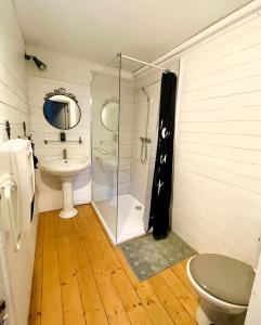 La salle de bains est pourvue d'une douche, de toilettes et d'un lavabo. dans l'établissement Les Gîtes du Fraysse, au paradis des oiseaux, à Montignac