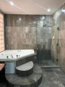 La salle de bains est pourvue d'une baignoire et d'une douche en verre. dans l'établissement Hotel Arroyo de la Plata, à Zacatecas