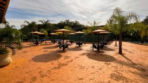 un patio con mesas, sombrillas y palmeras en Hotel Dolce Dulce, en Olímpia