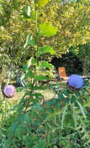 uma planta com flores roxas num jardim em La Maison Bleue de Husseau Ancienne ferme semi-troglodytique 18e siècle em Montlouis-sur-Loire