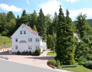 an aerial view of a white house with trees at Pension Rheingold Garni in Bad Grund