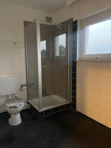 a bathroom with a shower and a toilet at Ferienhaus am Teutoburger Wald in Detmold