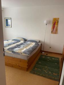 a bedroom with a bed and a rug on the floor at Ferienhaus am Teutoburger Wald in Detmold