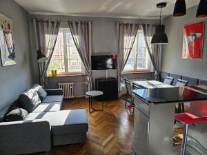Televízia a/alebo spoločenská miestnosť v ubytovaní Rynek Market Square Tectum Apartments