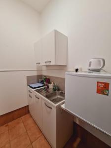 uma pequena cozinha com um lavatório e um frigorífico em Pavarotti em Veneza