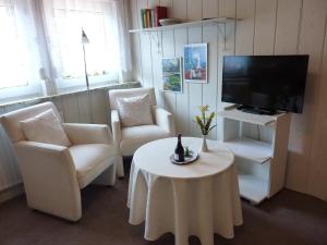 TV a/nebo společenská místnost v ubytování Pension Rheingold Garni