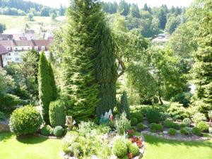 Zahrada ubytování Pension Rheingold Garni