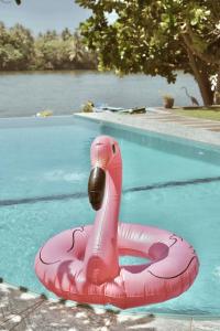 un flotador de flamenco rosa en una piscina en Villa Riverside, en Aluthgama