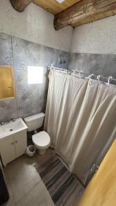 La salle de bains est pourvue de toilettes, d'un lavabo et d'un rideau de douche. dans l'établissement Denmoza Eco Lodge, à Potrerillos