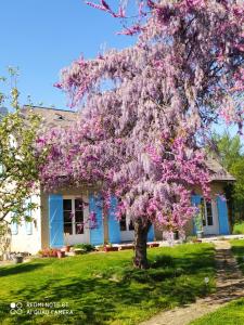 uma árvore lilás em frente a uma casa em La case 