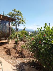 a garden with trees and flowers and a house at Cabanas Zamoray 