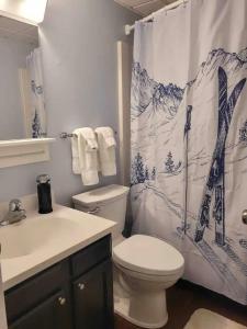 ein Badezimmer mit Toilette und Duschvorhang in der Unterkunft Mt Green, Pool, Gym, Sauna, Hot tub 3br2b, in Killington Village