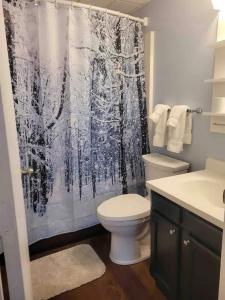 ein Badezimmer mit Toilette und Duschvorhang in der Unterkunft Mt Green, Pool, Gym, Sauna, Hot tub 3br2b, in Killington Village