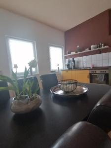 a kitchen with a table with two plants on it at Eichis Landliebe in Gorschendorf