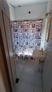 ein Badezimmer mit einer Wand mit Fotos von Hunden in der Unterkunft Hostal El Encuentro in Mendoza