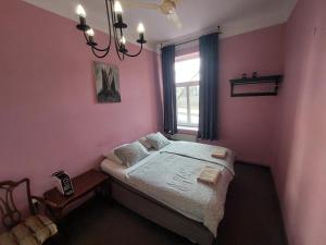 リュブリャナにあるVV way - Lisica zvitorepkaのピンクの壁のベッドルーム1室、窓付きのベッド1台が備わります。