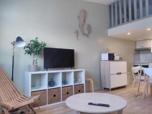 Kuchyň nebo kuchyňský kout v ubytování LENIE appartement reposant