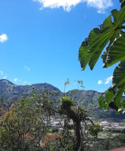 uma vista para as montanhas a partir da floresta em Cabaña de montaña em Paraíso