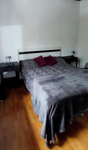 a bedroom with a large bed with two red pillows at DEPARTAMENTO COMPLETO 4 Pers Mza in Las Heras