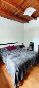 - une chambre avec un grand lit dans l'établissement DEPARTAMENTO COMPLETO 4 Pers Mza, à Las Heras