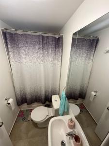 a small bathroom with a toilet and a sink at Apartamento punta Arenas in Punta Arenas