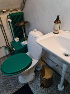 a bathroom with a green toilet and a sink at Romantic apartment in Fjälkinge