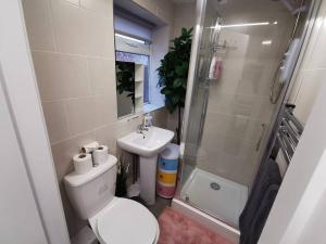 een badkamer met toilet, douche en wastafel bij Unique LFC Themed House in Liverpool