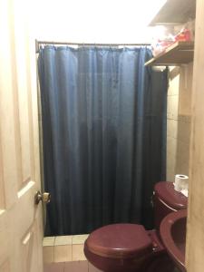 a bathroom with a toilet and a blue shower curtain at The Green House in Bocas del Toro