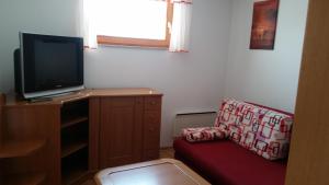 uma sala de estar com um sofá e uma televisão em Apartment Brina em Kranjska Gora