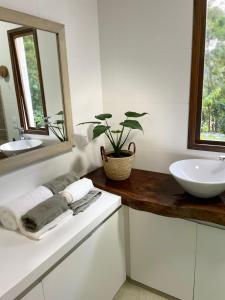 een badkamer met een wastafel en een plant op een aanrecht bij Casa da Mata in Itapema