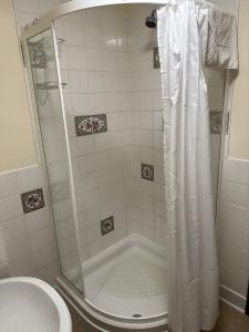 a bathroom with a shower with a toilet and a sink at The George at Donyatt in Ilminster