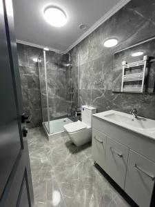W łazience znajduje się toaleta, umywalka i prysznic. w obiekcie Vila Casa cu Tei w mieście Lupeni