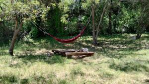 een hangmat in het midden van een veld met bomen bij Sol de la cumbre in La Cumbre +2 foto's