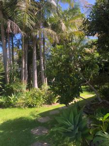 d'un jardin avec des palmiers et de la pelouse verdoyante. dans l'établissement Silver Bream Four, à Mallacoota