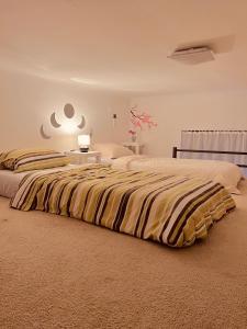 ブダペストにあるChloé Apartmentのベッドルーム1室(大型ベッド1台、ストライプ毛布付)