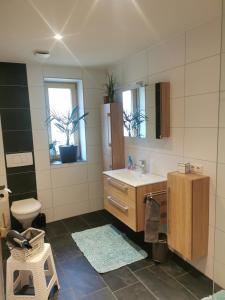 y baño con lavabo, aseo y espejo. en Bereuter, en Sibratsgfäll