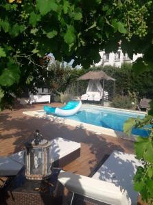 - une piscine avec des nouilles bleues dans la cour dans l'établissement Paradis au soleil, à Alignan-du-Vent