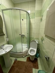 ein Bad mit einer Dusche, einem WC und einem Waschbecken in der Unterkunft Berizka in Jaremtsche