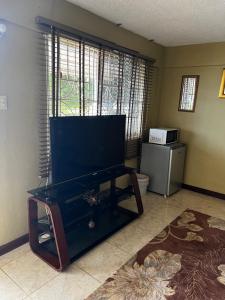 a living room with a flat screen tv on a stand at Boscobel Hideaway in Boscobel