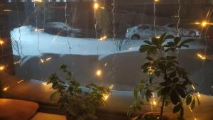 a view of a snow covered yard with lights at Hostel Caps Home in Astana