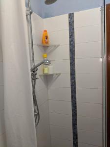 a shower with a shower curtain in a bathroom at Verbania Centro Storico 2 camere in Verbania