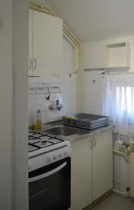 Apartment Ematours في بوزيغا: مطبخ مع موقد ومغسلة