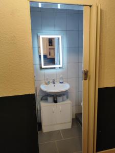 a bathroom with a sink and a mirror at Ferienwohnung Belvie in Butzbach