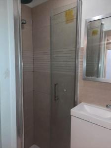 una ducha con una puerta de cristal junto a un lavabo en Studette Rémilly à Versailles en Versailles