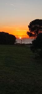 - un coucher de soleil dans un champ dans l'établissement Chill and Fun - Matosinhos - ONLY ROOM, à Matosinhos