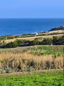 Φυσικό τοπίο κοντά σε αυτό το διαμέρισμα +66 φωτογραφίες