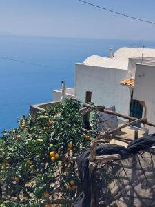 阿马尔菲Casa Orizzonte的相册照片