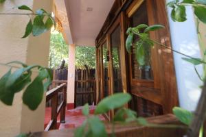 Zahrada ubytování Casa AVA